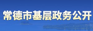 基層政務(wù)公開