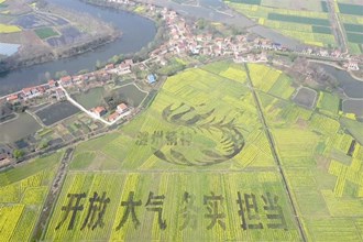 【經濟】澧縣小渡口鎮土地洲村油菜彩繪