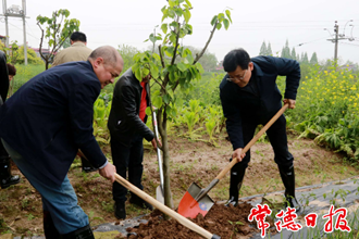 市政協開展義務植樹活動