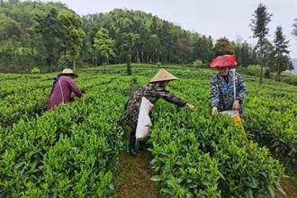 石門縣壺瓶山鎮