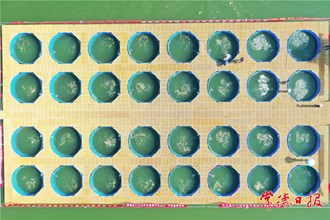 致富棋盤