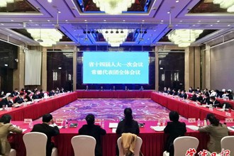 秦國文在參加常德代表團集中審議時指出 充分發揮自身優勢 努力樹立全省工作標桿
