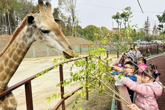 【社會(huì)】同發(fā)野生動(dòng)物園迎來小客人