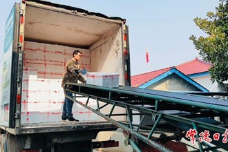 【安鄉縣】新沙村菜薹發往廣州、深圳等地