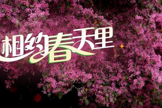 【海報】相約常德，擁抱春天
