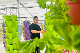 【攝影報道】安鄉綠蔬園現代農業產業園即將開園