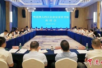 粵港澳大灣區企業家來常德考察座談會舉行