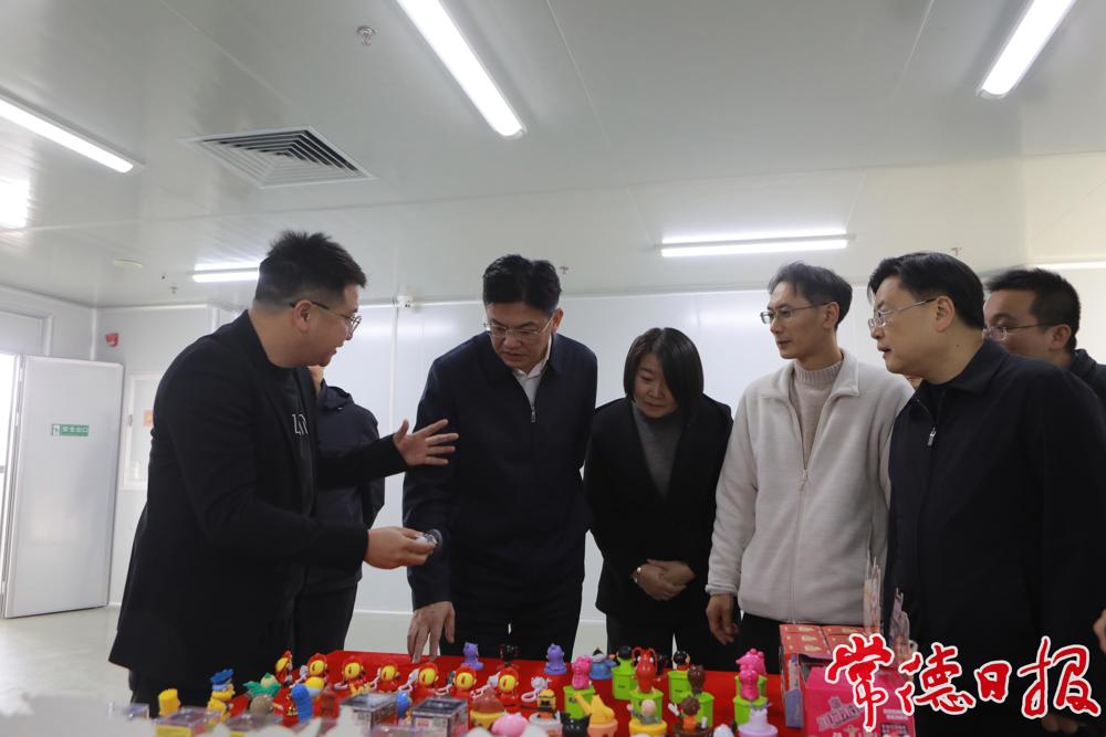 市委書記羅毅君在桑尼森迪項目現場調研