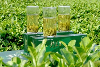 市級：桃源野茶王