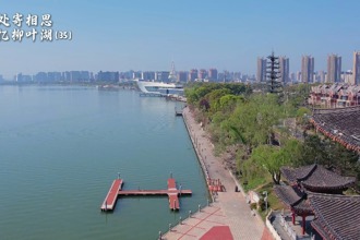 【常來常德 常“游”所得】柳葉湖，用詩意為春天上色