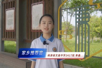 【以文繪城·我是家鄉推介官】匠心傳承——走進桃源木雕的藝術世界