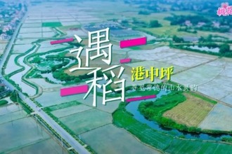 【鼎城】遇“稻”港中坪 ——尋覓常德的山水靈韻