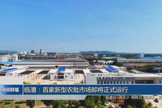 臨澧：首家新型農批市場即將正式運行