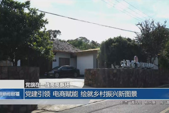 黨建引領 電商賦能 繪就鄉村振興新圖景