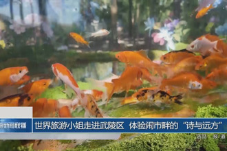 世界旅游小姐走進(jìn)武陵區(qū) 體驗(yàn)鬧市畔的“詩(shī)與遠(yuǎn)方”