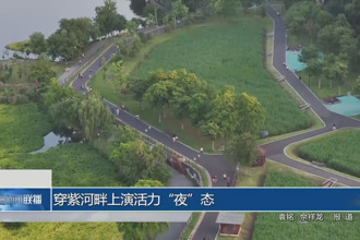 穿紫河畔上演活力“夜”態