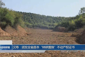 漢壽：頒發全省首本“林耕置換”不動產權證書