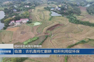 臨澧：農機轟鳴忙翻耕 秸稈利用促環保